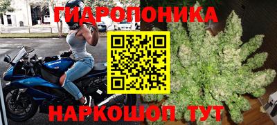 ALPHA PVP Гусев