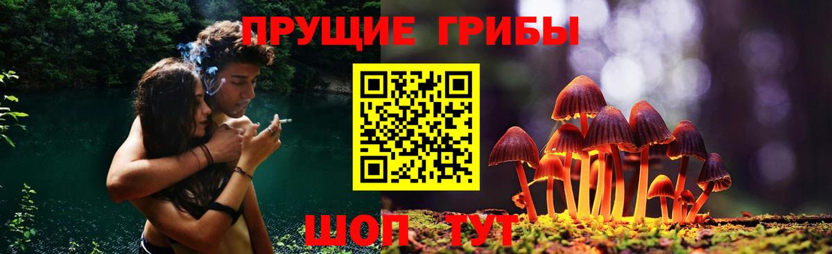 Галлюциногенные грибы прущие грибы  Вход с VPN  Мурино 